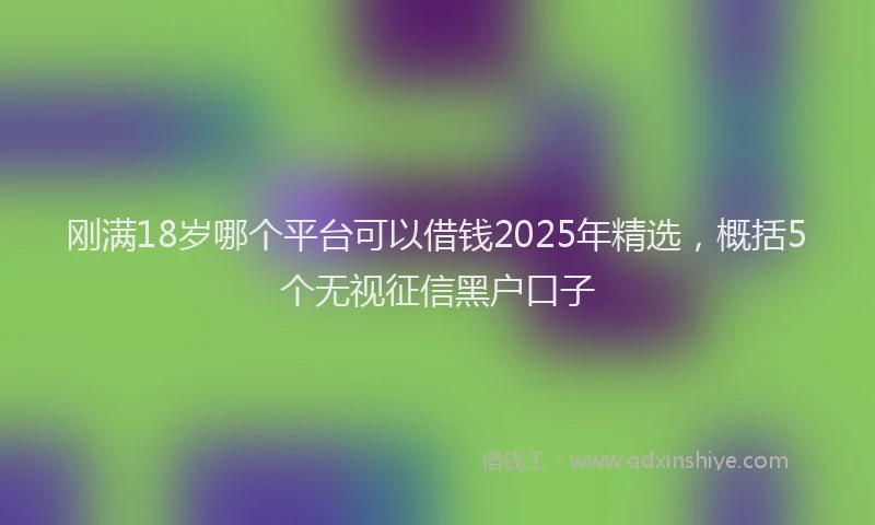 刚满18岁哪个平台可以借钱2025年精选，概括5个无视征信黑户口子