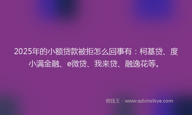 2025年的小额贷款被拒怎么回事有：柯基贷、度小满金融、e微贷、我来贷、融逸花等。