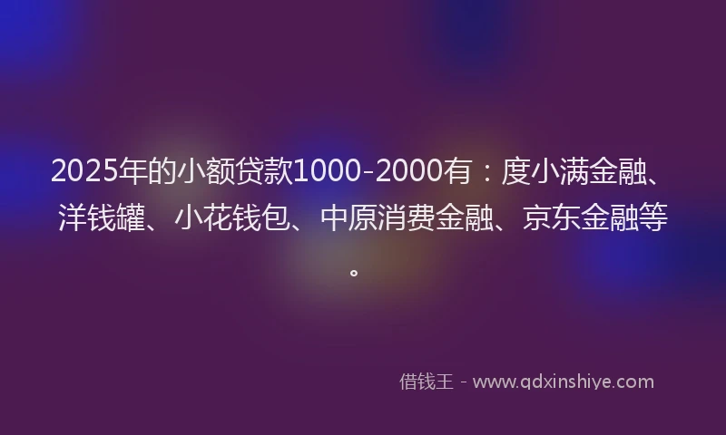 2025年的小额贷款1000-2000有：度小满金融、洋钱罐、小花钱包、中原消费金融、京东金融等。