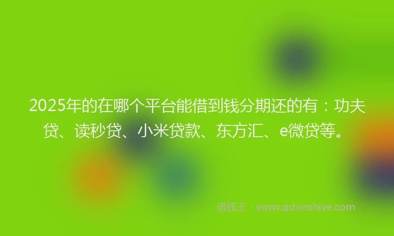 2025年的在哪个平台能借到钱分期还的有：功夫贷、读秒贷、小米贷款、东方汇、e微贷等。