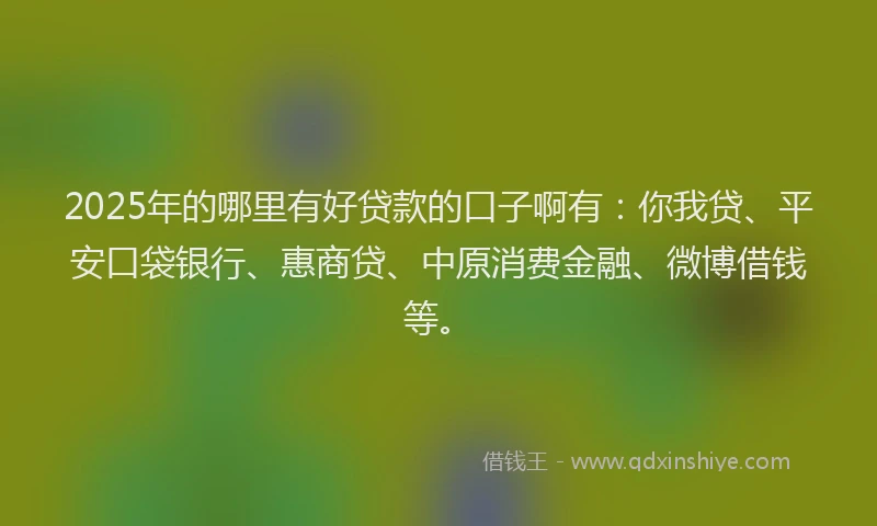 2025年的哪里有好贷款的口子啊有：你我贷、平安口袋银行、惠商贷、中原消费金融、微博借钱等。