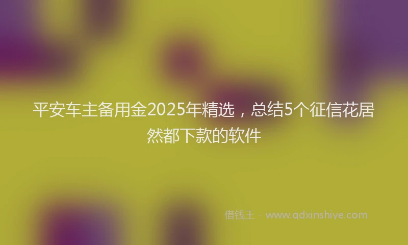 平安车主备用金2025年精选，总结5个征信花居然都下款的软件