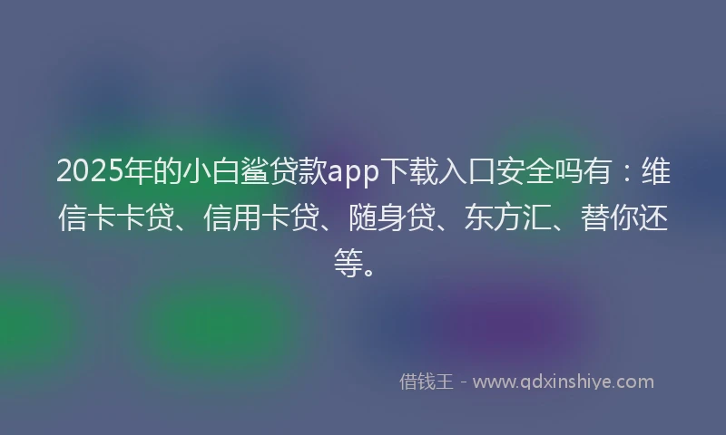 2025年的小白鲨贷款app下载入口安全吗有：维信卡卡贷、信用卡贷、随身贷、东方汇、替你还等。