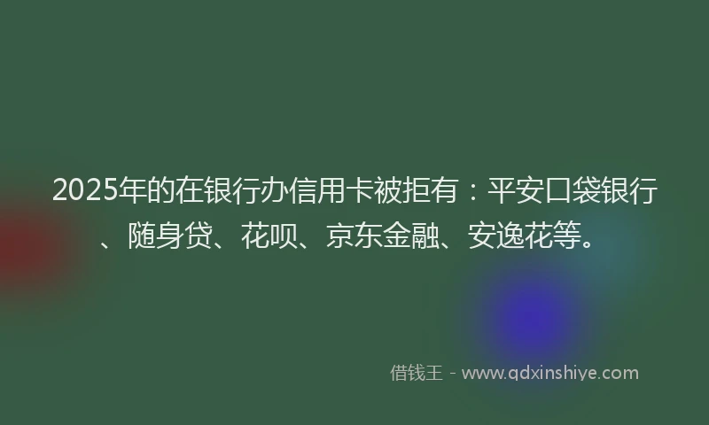 2025年的在银行办信用卡被拒有：平安口袋银行、随身贷、花呗、京东金融、安逸花等。