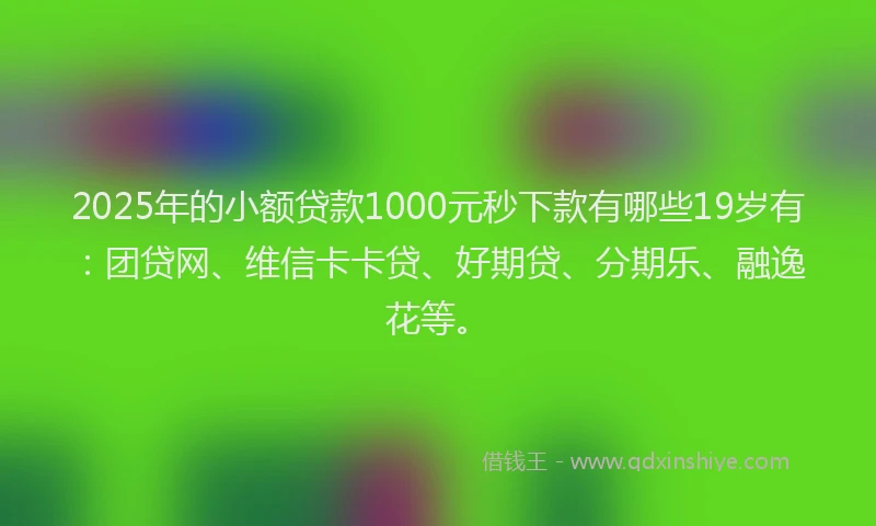 2025年的小额贷款1000元秒下款有哪些19岁有：团贷网、维信卡卡贷、好期贷、分期乐、融逸花等。