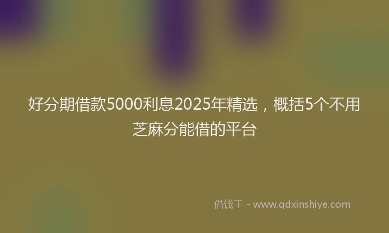 好分期借款5000利息2025年精选，概括5个不用芝麻分能借的平台