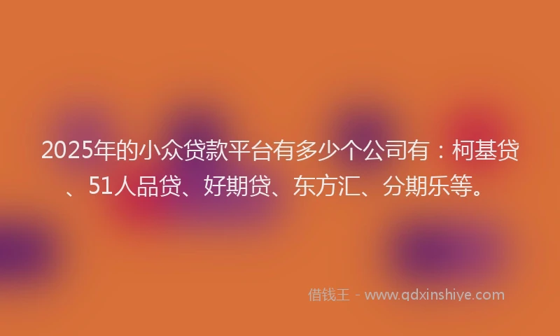 2025年的小众贷款平台有多少个公司有：柯基贷、51人品贷、好期贷、东方汇、分期乐等。