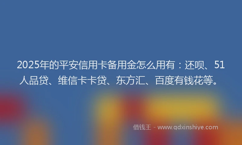 2025年的平安信用卡备用金怎么用有：还呗、51人品贷、维信卡卡贷、东方汇、百度有钱花等。