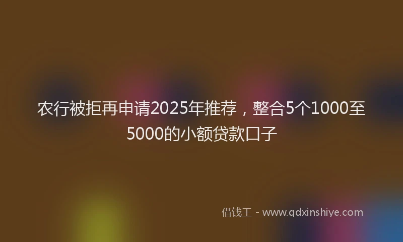 农行被拒再申请2025年推荐，整合5个1000至5000的小额贷款口子