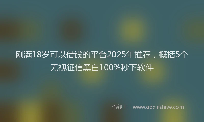 刚满18岁可以借钱的平台2025年推荐，概括5个无视征信黑白100%秒下软件