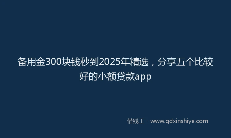 备用金300块钱秒到2025年精选，分享五个比较好的小额贷款app