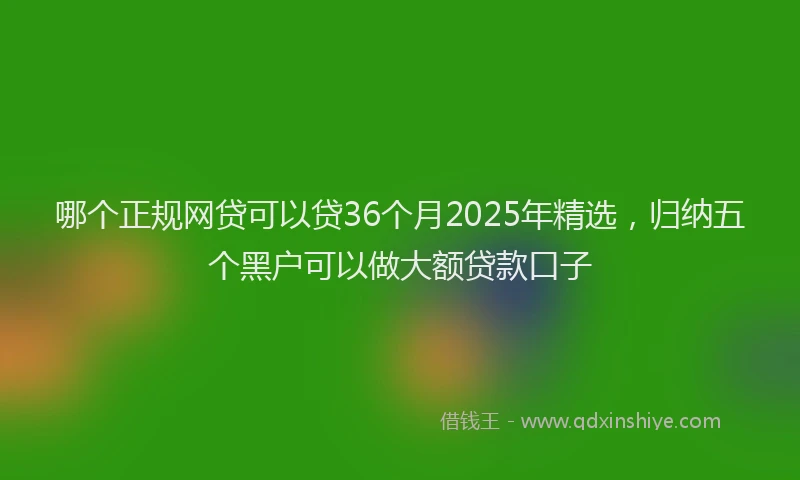 哪个正规网贷可以贷36个月2025年精选，归纳五个黑户可以做大额贷款口子