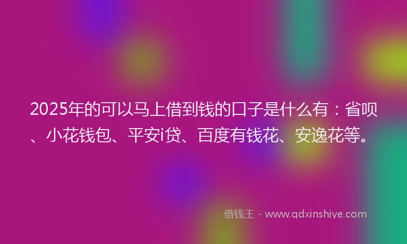 2025年的可以马上借到钱的口子是什么有：省呗、小花钱包、平安i贷、百度有钱花、安逸花等。