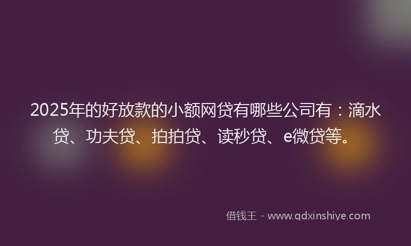 2025年的好放款的小额网贷有哪些公司有：滴水贷、功夫贷、拍拍贷、读秒贷、e微贷等。