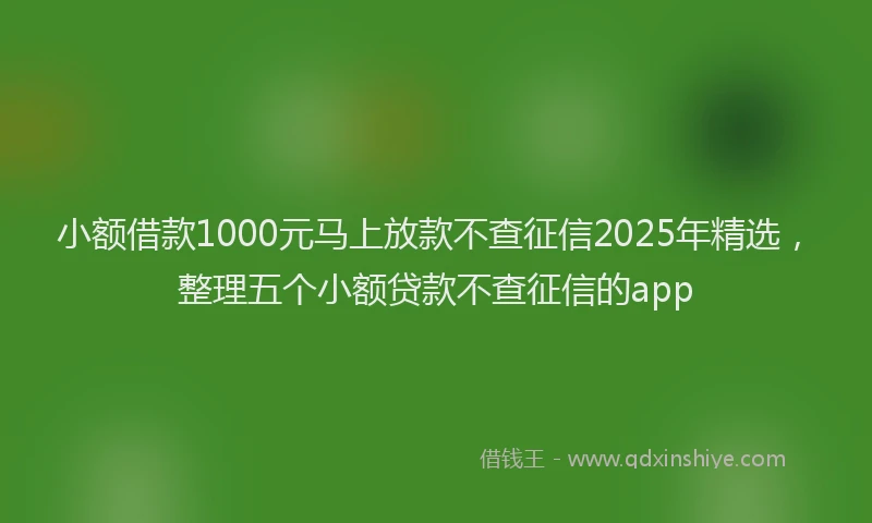 小额借款1000元马上放款不查征信2025年精选，整理五个小额贷款不查征信的app