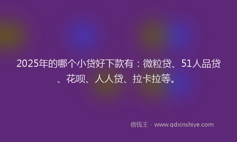 2025年的哪个小贷好下款有：微粒贷、51人品贷、花呗、人人贷、拉卡拉等。