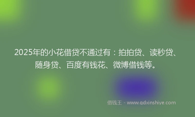 2025年的小花借贷不通过有：拍拍贷、读秒贷、随身贷、百度有钱花、微博借钱等。