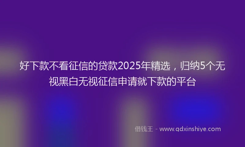 好下款不看征信的贷款2025年精选，归纳5个无视黑白无视征信申请就下款的平台