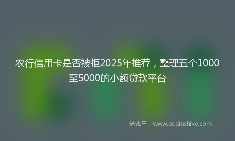 农行信用卡是否被拒2025年推荐，整理五个1000至5000的小额贷款平台