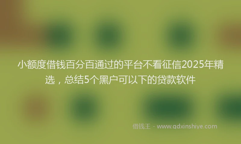 小额度借钱百分百通过的平台不看征信2025年精选，总结5个黑户可以下的贷款软件