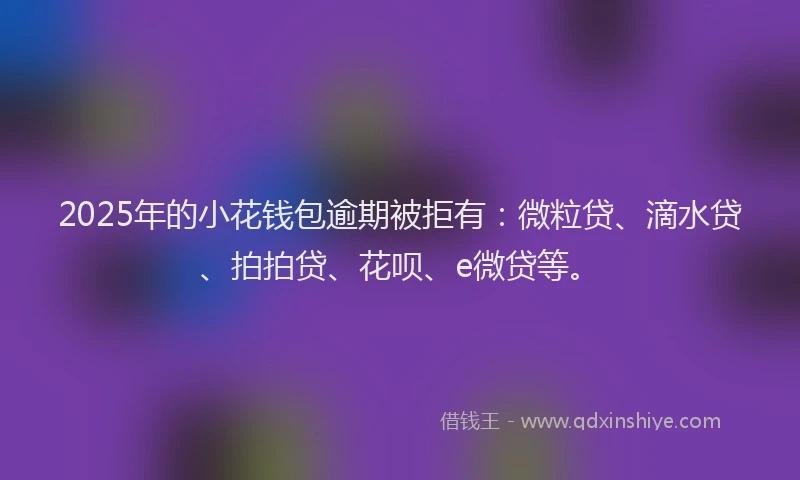 2025年的小花钱包逾期被拒有：微粒贷、滴水贷、拍拍贷、花呗、e微贷等。
