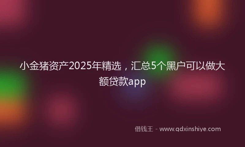 小金猪资产2025年精选，汇总5个黑户可以做大额贷款app
