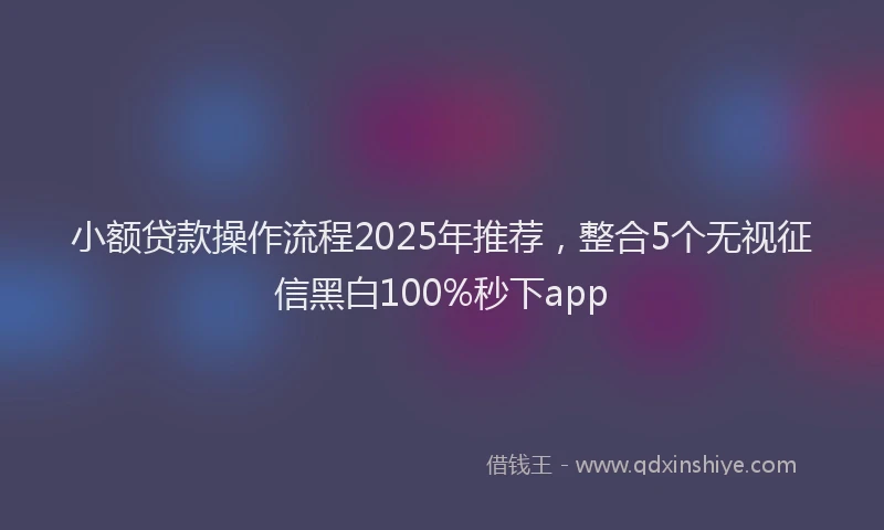 小额贷款操作流程2025年推荐，整合5个无视征信黑白100%秒下app