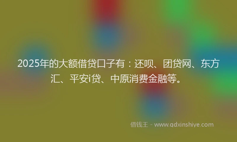 2025年的大额借贷口子有：还呗、团贷网、东方汇、平安i贷、中原消费金融等。