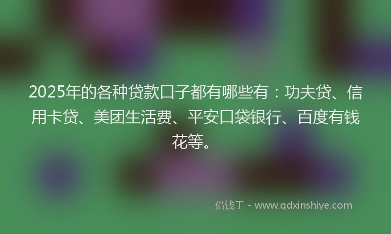 2025年的各种贷款口子都有哪些有：功夫贷、信用卡贷、美团生活费、平安口袋银行、百度有钱花等。