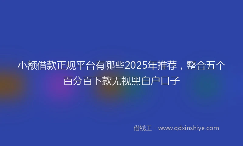小额借款正规平台有哪些2025年推荐，整合五个百分百下款无视黑白户口子