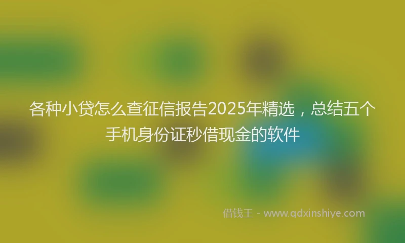各种小贷怎么查征信报告2025年精选，总结五个手机身份证秒借现金的软件