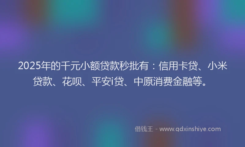 2025年的千元小额贷款秒批有：信用卡贷、小米贷款、花呗、平安i贷、中原消费金融等。