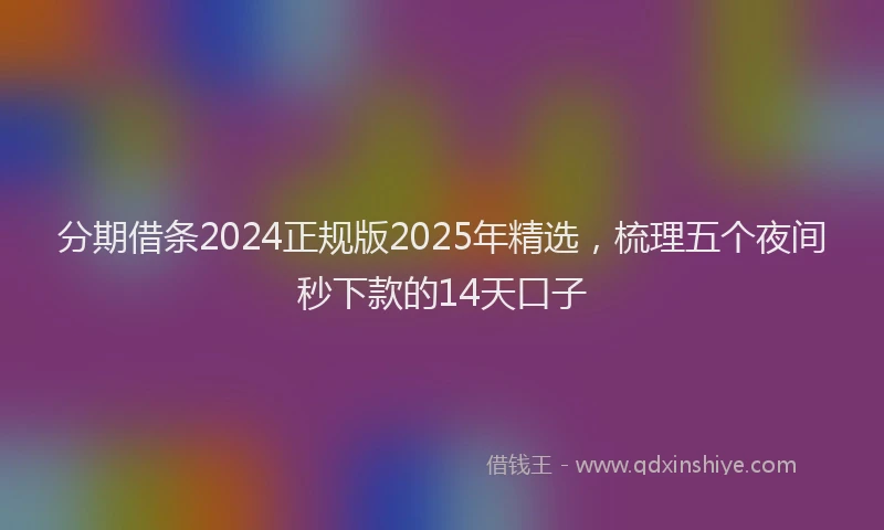 分期借条2024正规版2025年精选，梳理五个夜间秒下款的14天口子