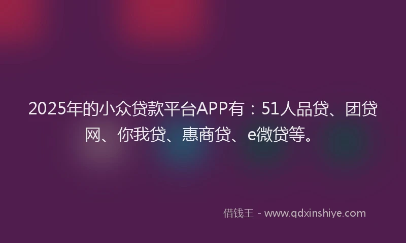 2025年的小众贷款平台APP有:51人品贷、团贷网、你我贷、惠商贷、e微贷等。