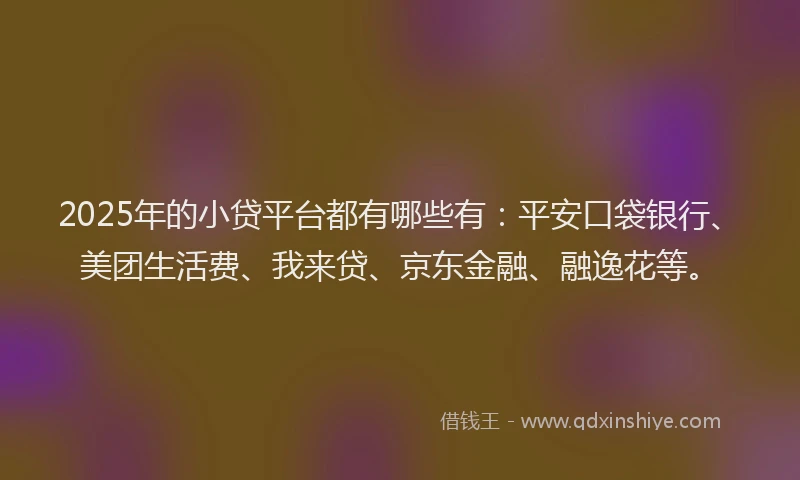 2025年的小贷平台都有哪些有：平安口袋银行、美团生活费、我来贷、京东金融、融逸花等。