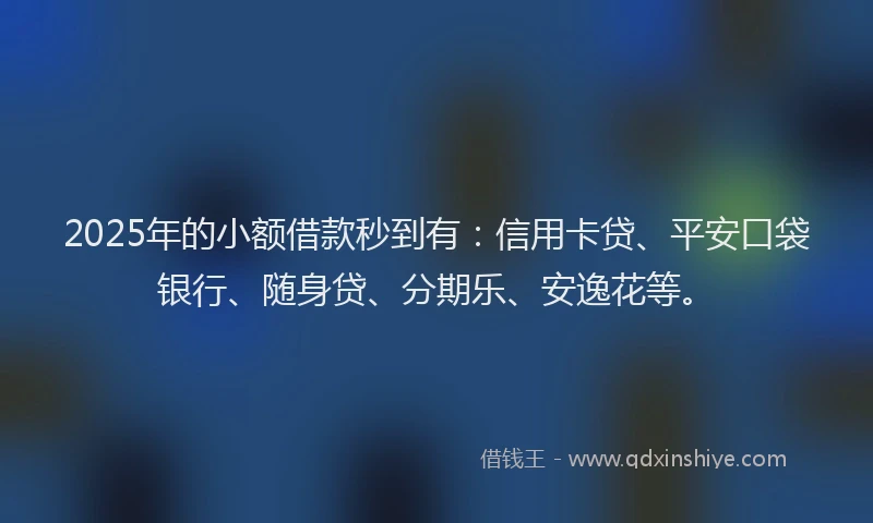 2025年的小额借款秒到有：信用卡贷、平安口袋银行、随身贷、分期乐、安逸花等。