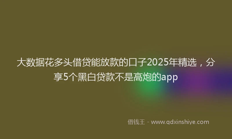 大数据花多头借贷能放款的口子2025年精选，分享5个黑白贷款不是高炮的app