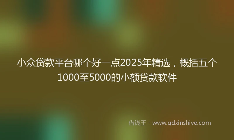 小众贷款平台哪个好一点2025年精选，概括五个1000至5000的小额贷款软件