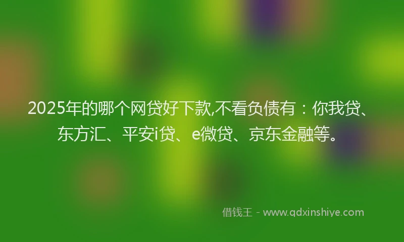 2025年的哪个网贷好下款,不看负债有：你我贷、东方汇、平安i贷、e微贷、京东金融等。