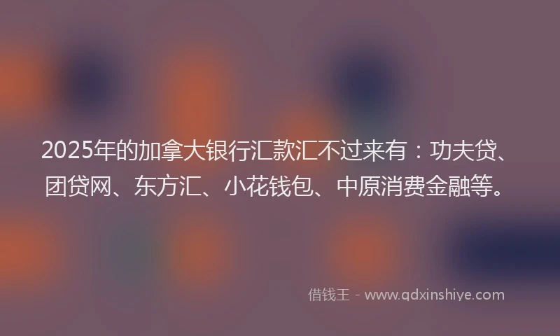 2025年的加拿大银行汇款汇不过来有：功夫贷、团贷网、东方汇、小花钱包、中原消费金融等。