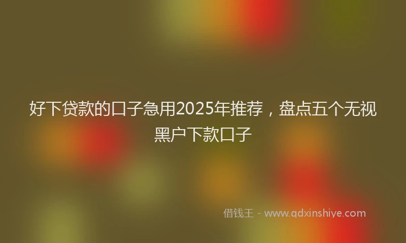 好下贷款的口子急用2025年推荐，盘点五个无视黑户下款口子
