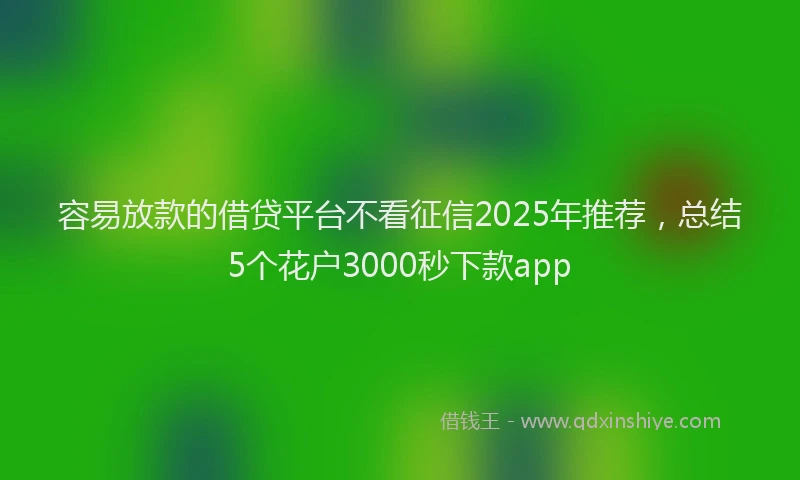 容易放款的借贷平台不看征信2025年推荐，总结5个花户3000秒下款app