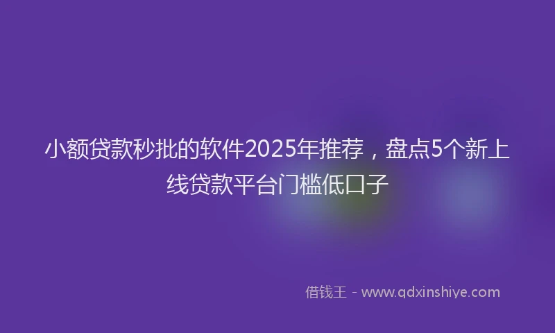 小额贷款秒批的软件2025年推荐，盘点5个新上线贷款平台门槛低口子