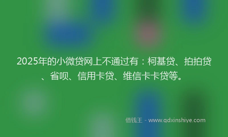 2025年的小微贷网上不通过有：柯基贷、拍拍贷、省呗、信用卡贷、维信卡卡贷等。