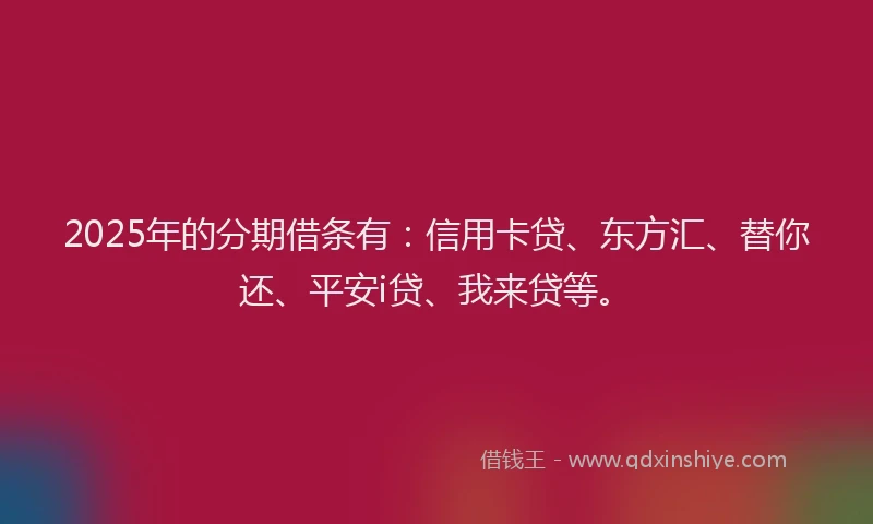 2025年的分期借条有：信用卡贷、东方汇、替你还、平安i贷、我来贷等。