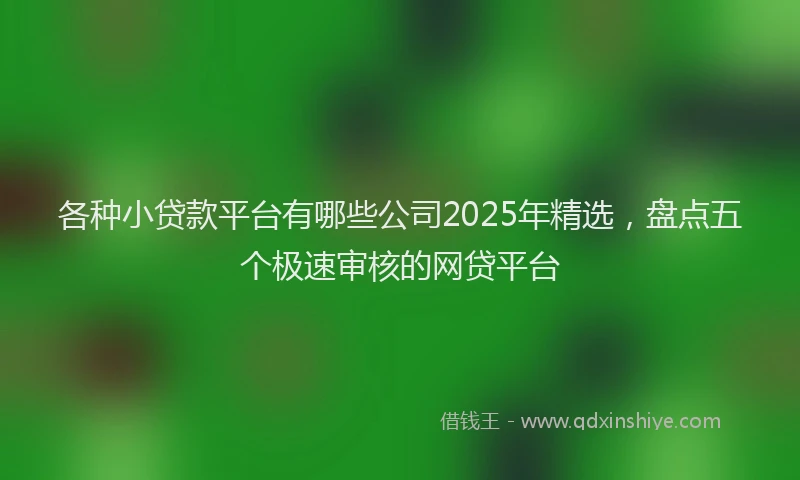 各种小贷款平台有哪些公司2025年精选，盘点五个极速审核的网贷平台