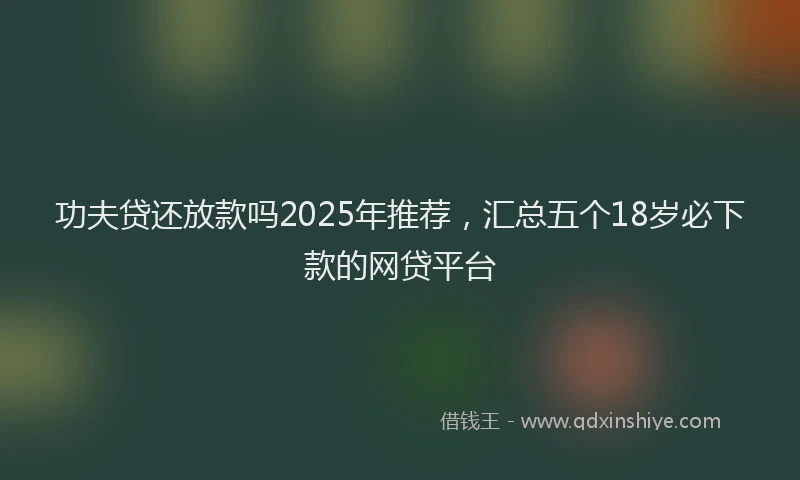 功夫贷还放款吗2025年推荐，汇总五个18岁必下款的网贷平台