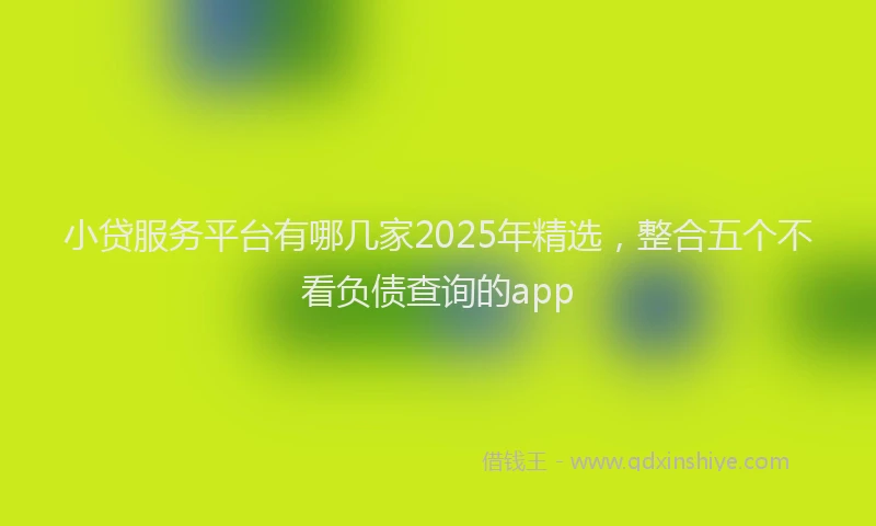 小贷服务平台有哪几家2025年精选，整合五个不看负债查询的app
