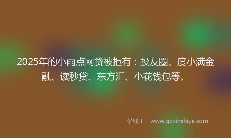 2025年的小雨点网贷被拒有：投友圈、度小满金融、读秒贷、东方汇、小花钱包等。