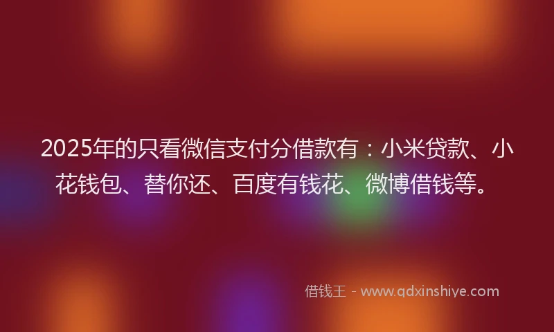 2025年的只看微信支付分借款有：小米贷款、小花钱包、替你还、百度有钱花、微博借钱等。